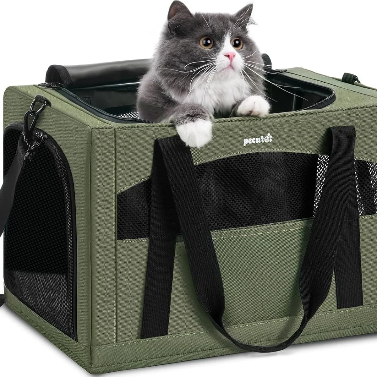 Pecute Cat Carrier with Hidden Partition, Green