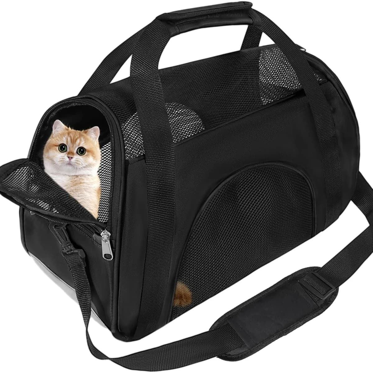 Soft Sided Foldable Pet Carrier with Removable Mat, Black