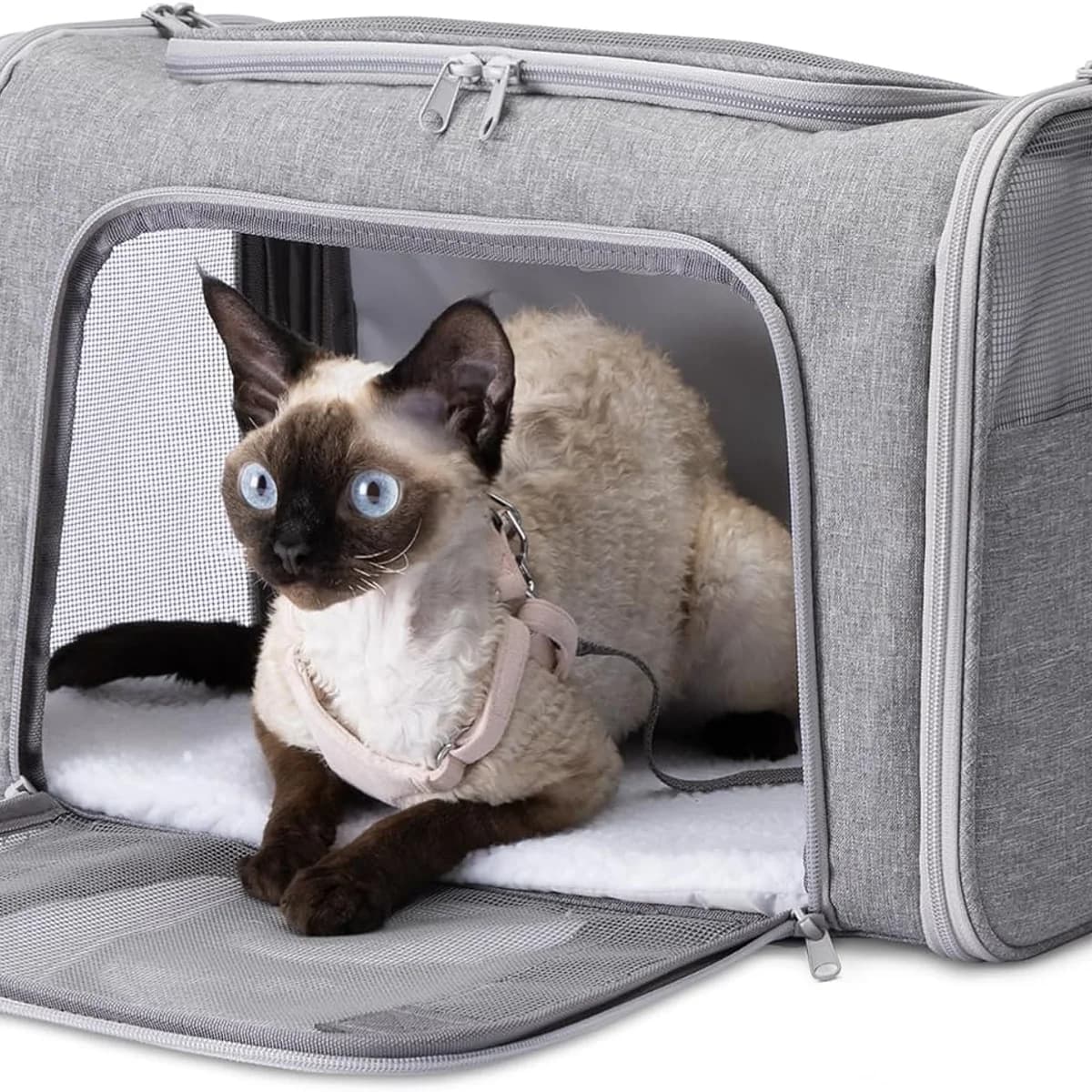 Amazon Basics Soft Cat and Dog Carrier, Airline Approved, Grey