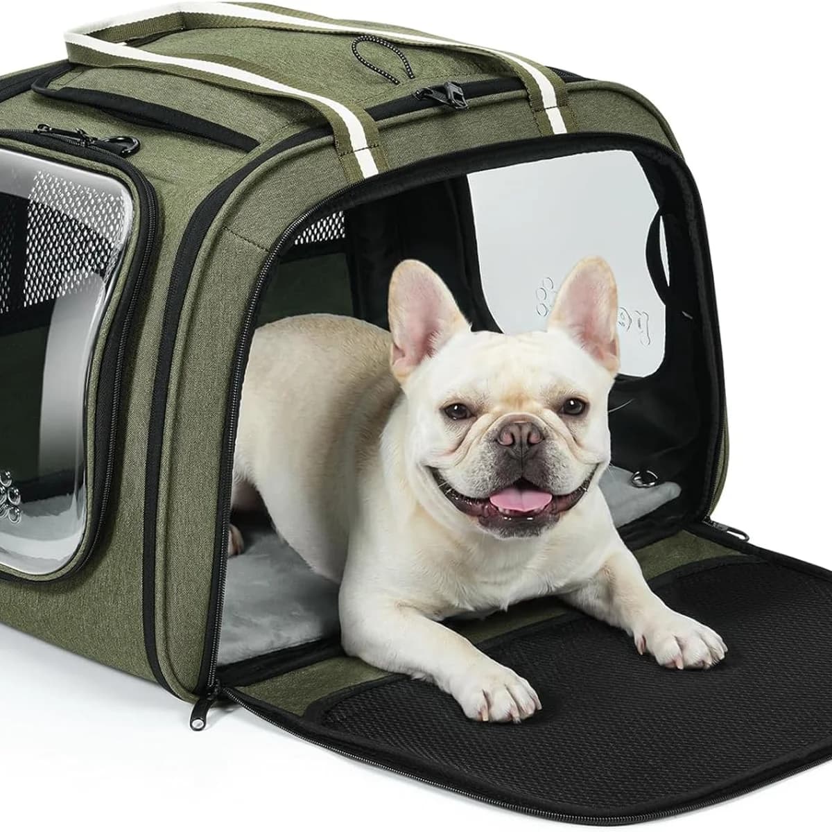 Pecute Extra Large Cat and Dog Carrier with Panoramic Windows, Green